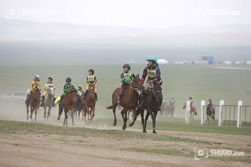 Баяр наадмын үеэр 21 унаач хүүхэд мориноос унажээ